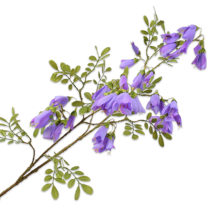 Campanula tak lila paars 115 cm