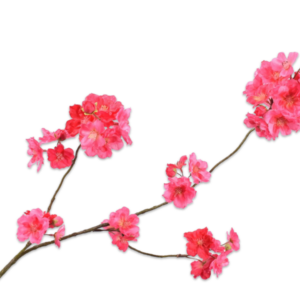 Bloesemtak beauty pink 84 cm