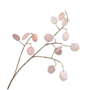 Judaspenning tak roze 80 cm