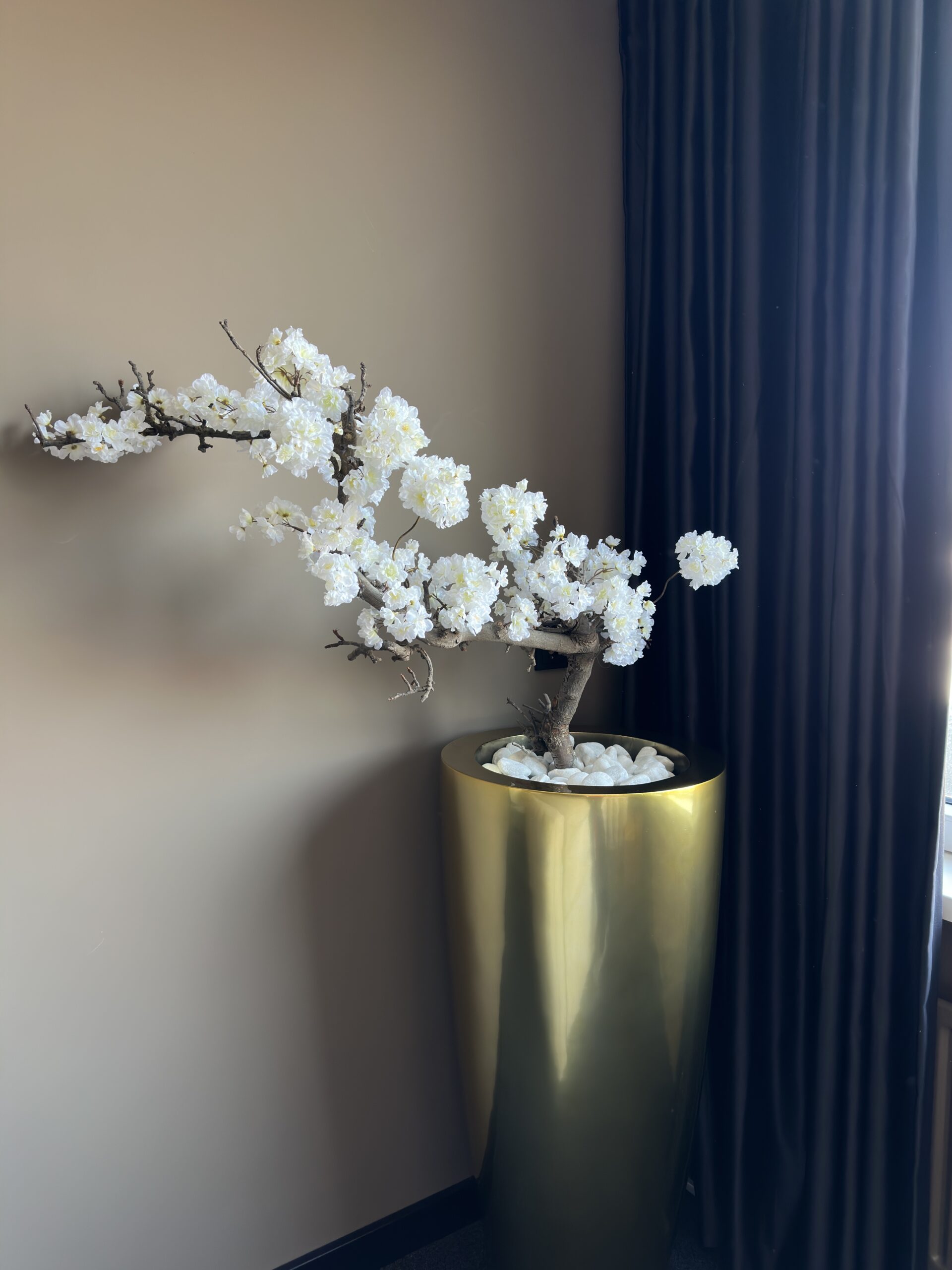 Bloesemboom Janny - Afbeelding 3