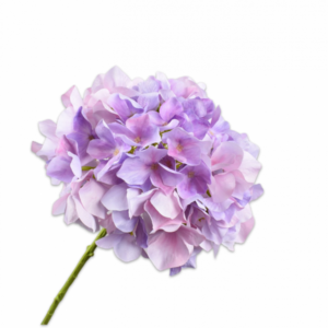 HORTENSIA STEEL LAVENDEL 73 cm