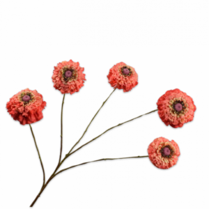 ZINNIA TAK ORANJE 91 cm