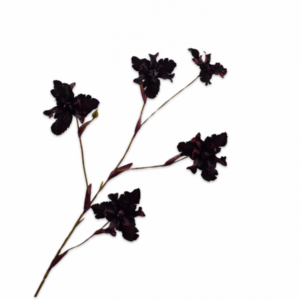 IRIS STEEL ROOD 86 cm