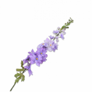 DELPHINIUM STEEL PAARS 99 cm