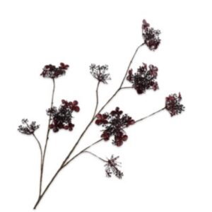 HORTENSIA TAK BORDEAUX RT 115 cm