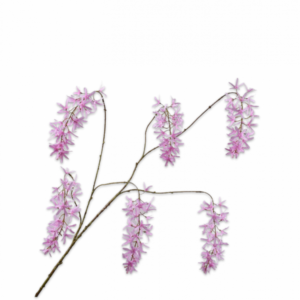 WISTERIA TAK ROZE 133 cm