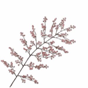 BESSENTAK ROZE 154 cm