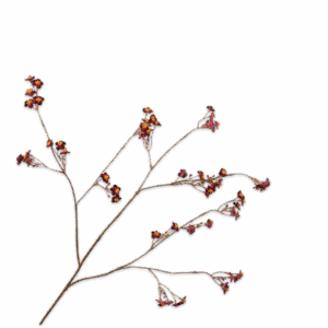 VERGEETMENIET TAK PAARS 76 cm