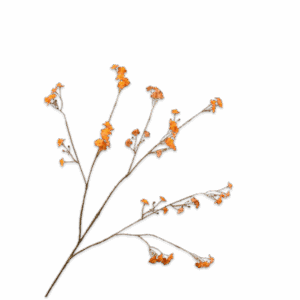 VERGEETMENIET TAK ORANJE 76 cm